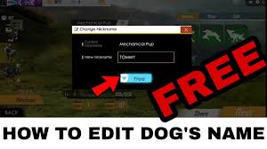 I'm shyam and welcome to my thexvid channel i'm creat new status & photos. How To Edit Dogs Name Free Free Fire Youtube