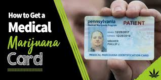Medical cannabis, or medical marijuana (mmj), is cannabis and cannabinoids that are prescribed by physicians for their patients. How To Get A Medical Marijuana Card Cannabis Cove