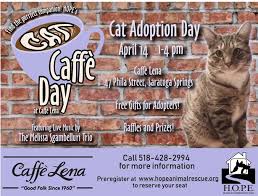 And enjoy a life free from the worry he has known in his life. Caffe Lena Cat Adoption Day Hope