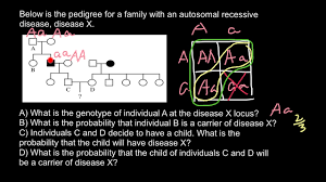 How To Solve Pedigree Probability Problems