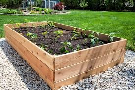 37 Diy Garden Box Ideas For Plants