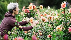 Cutting Garden Flowers