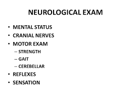 Central Nervous System Examination Ppt Video Online Download
