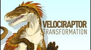 This page will be dedicated to transformation (tf) artwork. Velociraptor Transformation On Behance