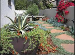 California Native Plants Garden