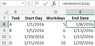 Workday Function Excel University