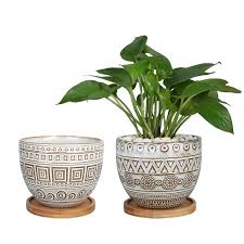 Whole Plant Pots Ceramic Pots