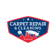 19 best houston carpet cleaners