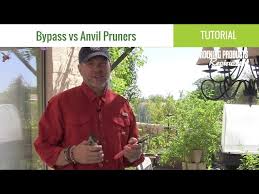 byp pruners vs anvil pruners what s