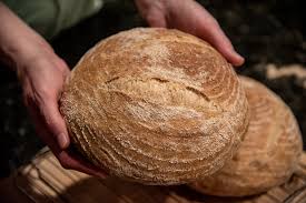 country bread using all purpose flour