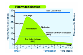 Pharmacokinetics And Pharmacodynamics Medicines And The Body