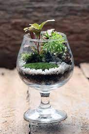 How To Make Your Own Terrarium