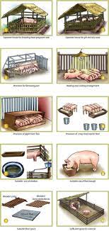 How To Farm Pigs Housing The Pig Site
