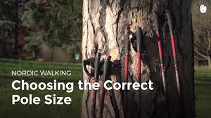 choosing the correct pole size nordic