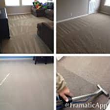 pet treatments beyer carpet cleaning