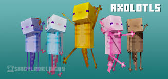 Check out our list of the best axolotl minecraft skins. Axolotls Minecraft Skin Packs