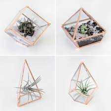 geometric glass terrarium diy why don