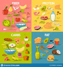 Food Groups Set Protein And Fiber Food Stock Vector