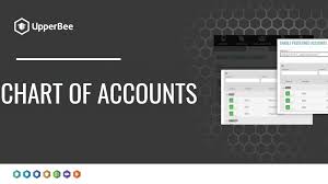 setting up your chart of accounts