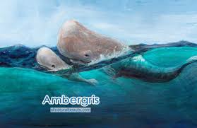 ambergris all natural beauty
