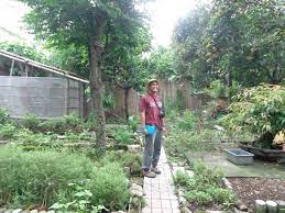 Backyard Gardening And Climate Change