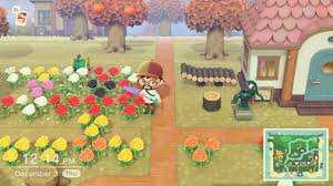 how to breed flowers in crossing