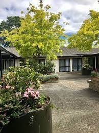 anne maree court auckland rest home