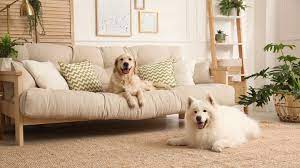 best dog friendly sofa fabrics