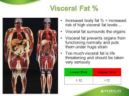 Get Weighed Your Body Composition Ppt Video Online Download