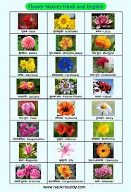 flowers name hindi and english with photo