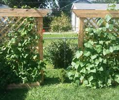 A trellis, whether for climbing vegetables or flowering vines, is a great addition to any outdoor space. How To Build A Garden Planter Box With A Trellis