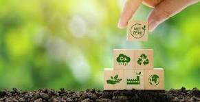 5 sustainable practices to follow for an eco-friendly ...