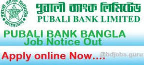 Pubali Bank Limited Job Circular 2022 এর ছবির ফলাফল