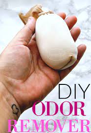 diy odor remover first home love life