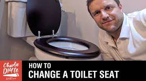how to change a toilet seat you