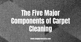 major components of carpet cleaning