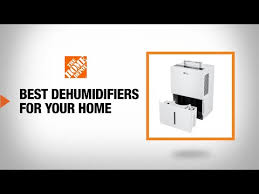 Best Dehumidifiers For Your Home The