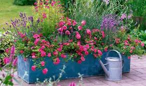 Colourful Garden Plant Containers