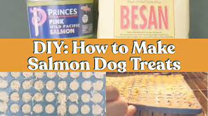 salmon dog treats