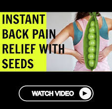 Pin On Back Pain Videos