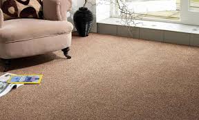 professional carpet repair services