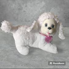 affordable poodle puppy
