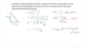 How To Calculate A Vector Valued Net