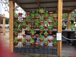 Screen Plants Vertical Garden Wall