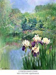 monet s garden at giverny with irises