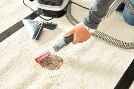 the 11 best carpet cleaners of 2023