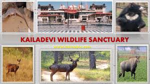 kailadevi wildlife sanctuary learn upsc
