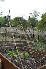Maybe you would like to learn more about one of these? Cucumber Trellis Nourish And Nestle