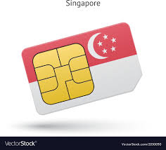 phone sim card with flag vector image