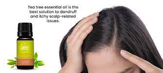 7 best essential oils for hair growth